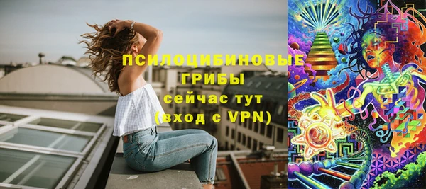 гидропоника Алексеевка