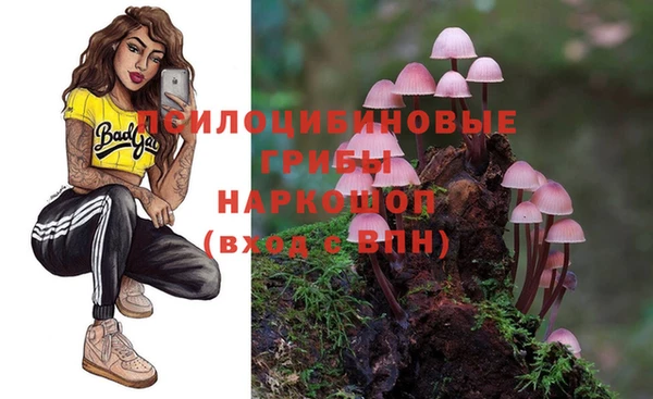 герыч Алзамай