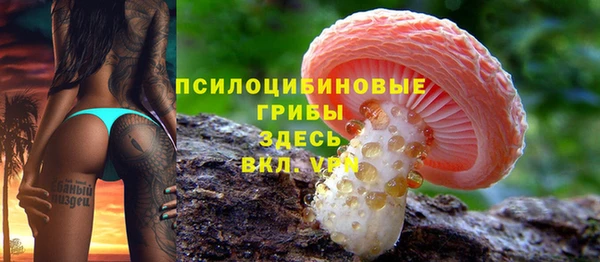 герыч Алзамай