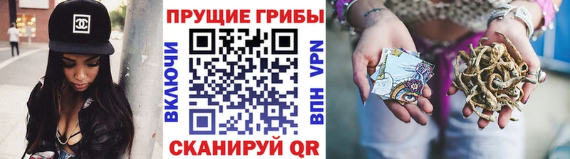 наркота  Междуреченск  Псилоцибиновые грибы прущие грибы 